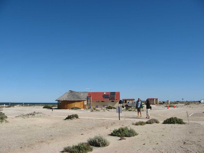 1 San Ignacio Wale (1) [Desktop Auflösung]