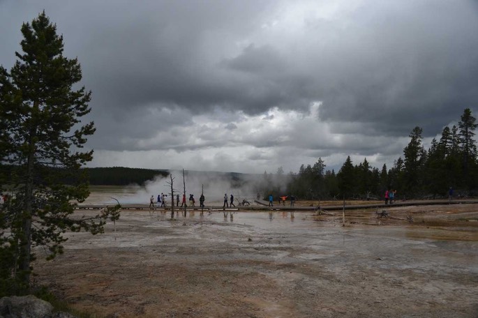 1 Yellowstone (12)