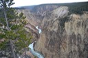 1 Yellowstone (16)