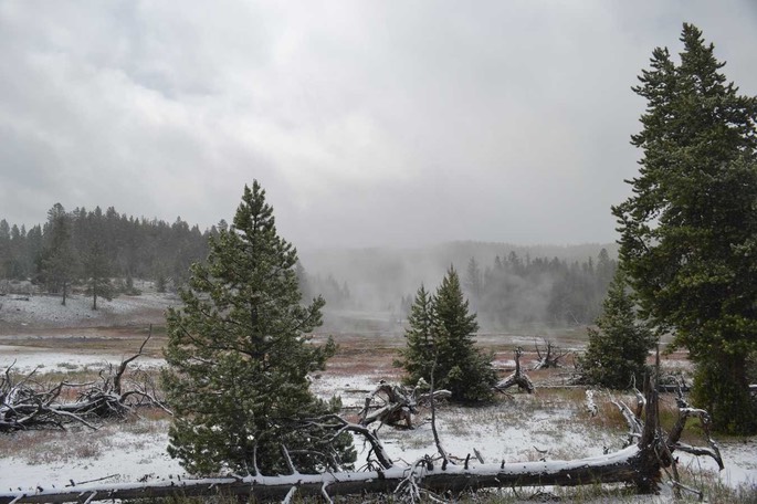 1 Yellowstone (23)