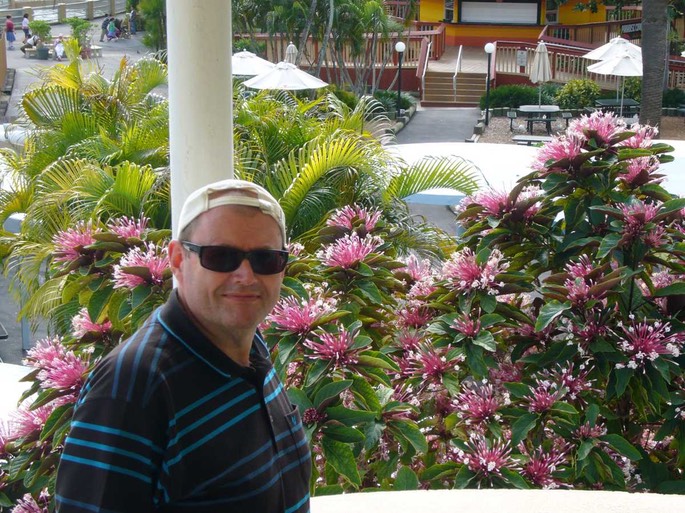 31 Fritz Blumen [Desktop Auflösung]