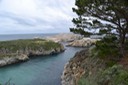 8 Point Lobos 3 [Desktop Auflösung]