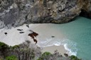 8 Point Lobos 5 [Desktop Auflösung]