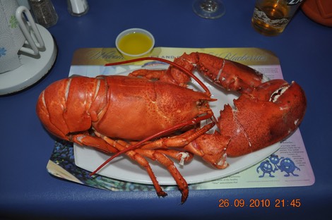 A Lobster fertig