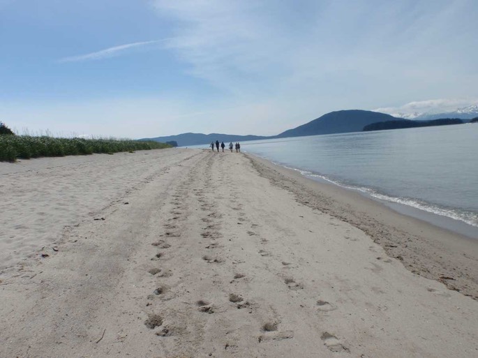 A Wanderung am Beach 1 [Desktop Auflösung]