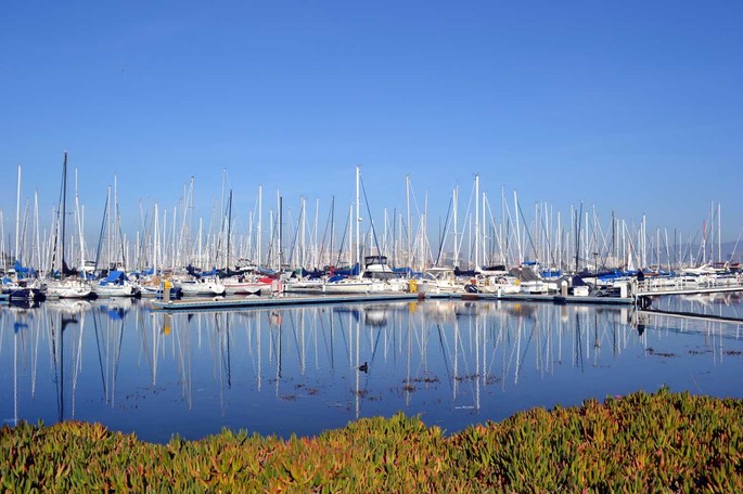 Alameda 01 [Desktop Auflösung]