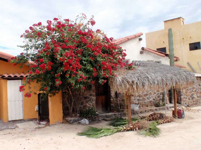 Bahia Concepcin Posada u Mulege 1 (7) [Desktop Auflösung]