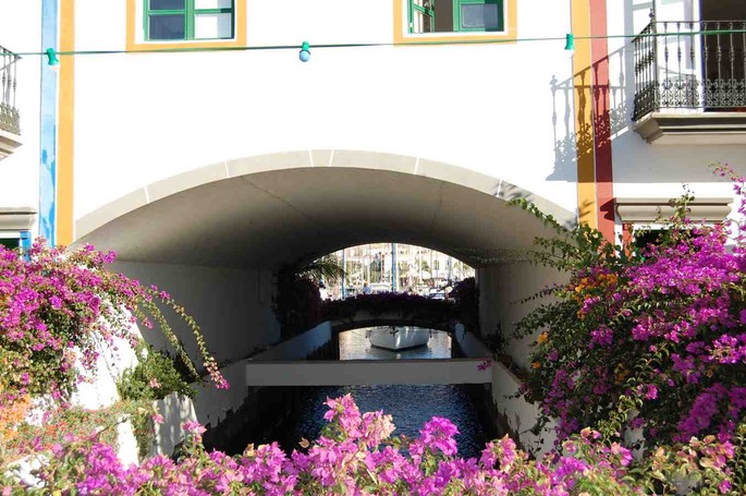 Die Insel des ewigen Frühlings