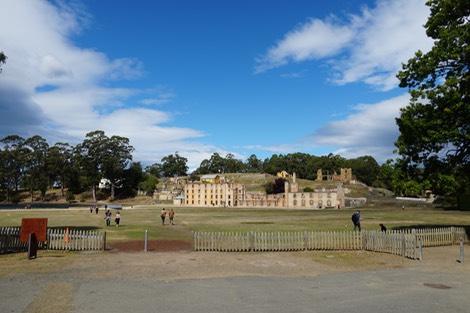 DSC01410.jpg
