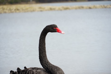 DSC01640.jpg