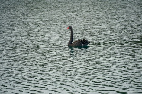 DSC01655.jpg