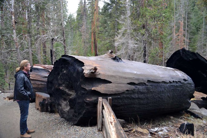 DSC_0153 [Desktop Auflösung]