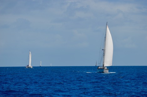 DSC_7735.jpg