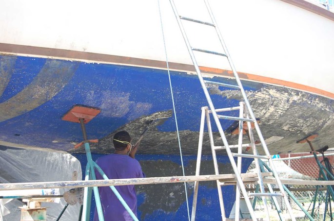 Haulout UW 3 [Desktop Auflösung]