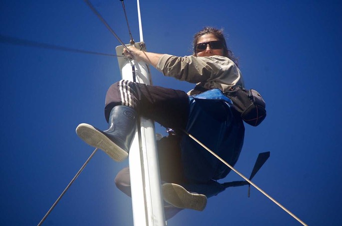 HP 5 Port Estrella Mast [Desktop Auflösung]