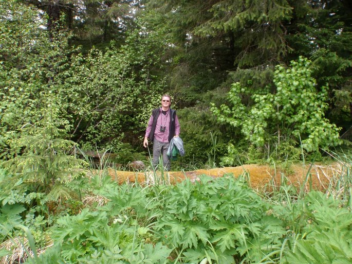 HP Petersburg 6 [Desktop Auflösung]