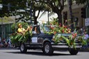 Kuhio Parade 35 [Desktop Auflösung]