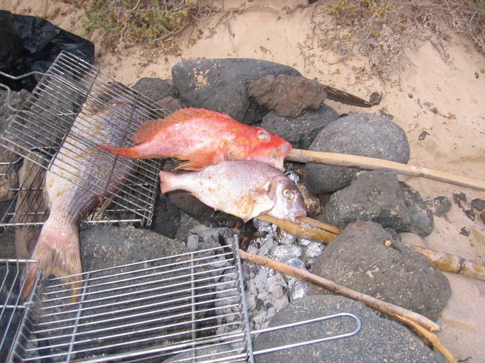 lagraciosa24