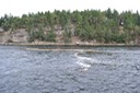 Logs in Todd Narrows [Desktop Auflösung]