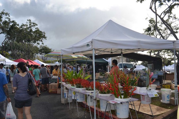 Mayers Farmersmarket [Desktop Auflösung]