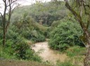 Mayers Waimea Valley [Desktop Auflösung]