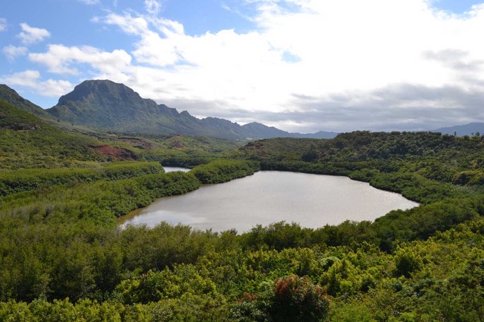 N Fishpond 1 [Desktop Auflösung]