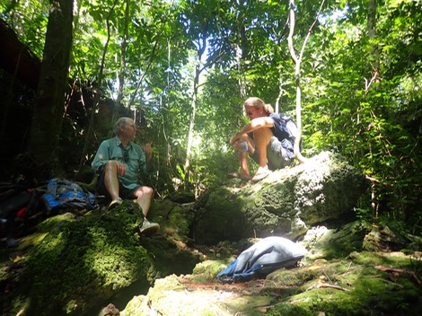 PA070106.jpg