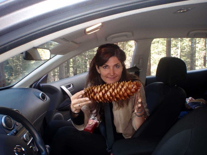 PB220061 [Desktop Auflösung]