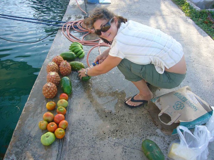 Pinar Obst waschen [Desktop Auflösung]