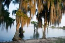 Lake End Park LAKE PALOURDE LA