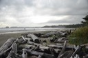 Tofino (14) [Desktop Auflösung]