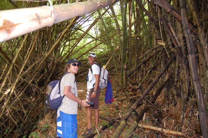 TT Bambus [Desktop Auflösung]