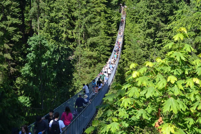 VC Suspension Bridge [Desktop Auflösung]