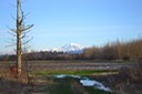 WA BE Mount Baker [Desktop Auflösung]