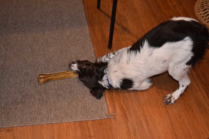 WA BE Poppets [Desktop Auflösung]